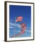 Flags at Washington Monument-David Papazian-Framed Premium Photographic Print