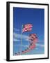 Flags at Washington Monument-David Papazian-Framed Premium Photographic Print