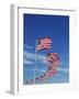 Flags at Washington Monument-David Papazian-Framed Photographic Print