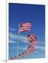 Flags at Washington Monument-David Papazian-Framed Photographic Print