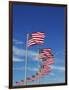 Flags at Washington Monument-David Papazian-Framed Photographic Print