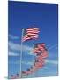 Flags at Washington Monument-David Papazian-Mounted Photographic Print