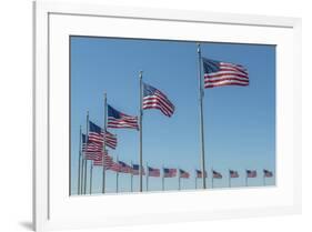 Flags by Washington Monument, Washington DC, Usa-Jim Engelbrecht-Framed Premium Photographic Print