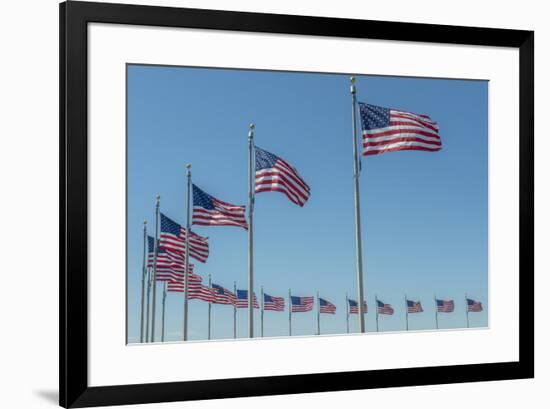 Flags by Washington Monument, Washington DC, Usa-Jim Engelbrecht-Framed Premium Photographic Print