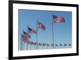 Flags by Washington Monument, Washington DC, Usa-Jim Engelbrecht-Framed Premium Photographic Print
