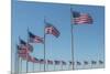 Flags by Washington Monument, Washington DC, Usa-Jim Engelbrecht-Mounted Premium Photographic Print