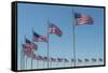 Flags by Washington Monument, Washington DC, Usa-Jim Engelbrecht-Framed Stretched Canvas
