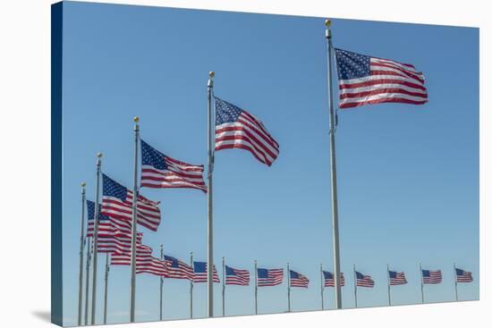 Flags by Washington Monument, Washington DC, Usa-Jim Engelbrecht-Stretched Canvas