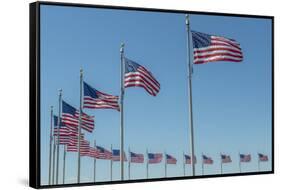 Flags by Washington Monument, Washington DC, Usa-Jim Engelbrecht-Framed Stretched Canvas