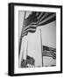 Flags Flying at Half Mast Following the Death of Gen George C. Marshall-null-Framed Photographic Print