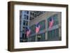 Flags Hanging Outside an Office Building in Downtown, Chicago, Illinois, Usa-Michael Runkel-Framed Photographic Print