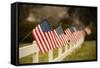 Flags I-Philip Clayton-thompson-Framed Stretched Canvas