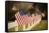 Flags I-Philip Clayton-thompson-Framed Stretched Canvas