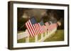 Flags I-Philip Clayton-thompson-Framed Premium Photographic Print