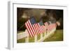 Flags I-Philip Clayton-thompson-Framed Premium Photographic Print