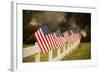 Flags I-Philip Clayton-thompson-Framed Photographic Print