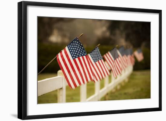 Flags I-Philip Clayton-thompson-Framed Photographic Print