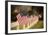 Flags I-Philip Clayton-thompson-Framed Photographic Print