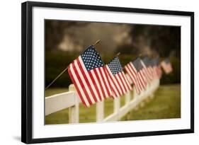 Flags I-Philip Clayton-thompson-Framed Photographic Print