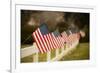 Flags I-Philip Clayton-thompson-Framed Photographic Print