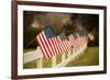 Flags I-Philip Clayton-thompson-Framed Photographic Print