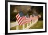 Flags I-Philip Clayton-thompson-Framed Photographic Print