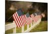 Flags I-Philip Clayton-thompson-Mounted Photographic Print