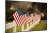 Flags I-Philip Clayton-thompson-Mounted Photographic Print