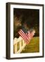 Flags II-Philip Clayton-thompson-Framed Photographic Print