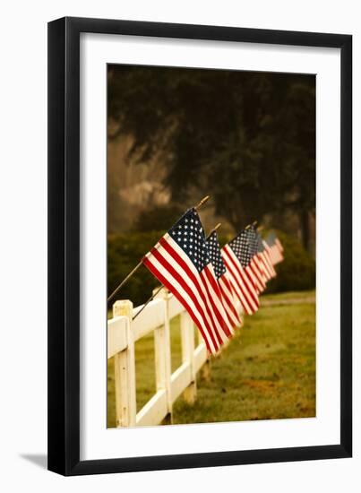 Flags II-Philip Clayton-thompson-Framed Photographic Print