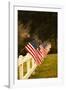 Flags II-Philip Clayton-thompson-Framed Photographic Print