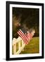 Flags II-Philip Clayton-thompson-Framed Photographic Print