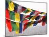 Flags in Nepal-nevenm-Mounted Photographic Print