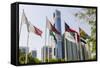 Flags in Park and Downtown Skyline of Dubai, United Arab Emirates-Michael DeFreitas-Framed Stretched Canvas