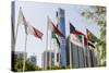 Flags in Park and Downtown Skyline of Dubai, United Arab Emirates-Michael DeFreitas-Stretched Canvas