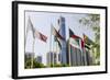 Flags in Park and Downtown Skyline of Dubai, United Arab Emirates-Michael DeFreitas-Framed Photographic Print