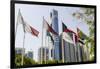 Flags in Park and Downtown Skyline of Dubai, United Arab Emirates-Michael DeFreitas-Framed Photographic Print