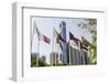 Flags in Park and Downtown Skyline of Dubai, United Arab Emirates-Michael DeFreitas-Framed Photographic Print