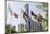 Flags in Park and Downtown Skyline of Dubai, United Arab Emirates-Michael DeFreitas-Mounted Photographic Print