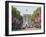 Flags Lining Mall to Buckingham Palace for President Obama's State Visit in 2011, London, England-Walter Rawlings-Framed Photographic Print