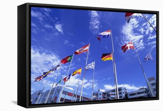 Flags of Europe in Front of the Europazentrum, Kirchberg, Luxembourg-Tim Hall-Framed Stretched Canvas