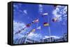 Flags of Europe in Front of the Europazentrum, Kirchberg, Luxembourg-Tim Hall-Framed Stretched Canvas
