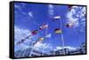 Flags of Europe in Front of the Europazentrum, Kirchberg, Luxembourg-Tim Hall-Framed Stretched Canvas