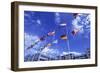 Flags of Europe in Front of the Europazentrum, Kirchberg, Luxembourg-Tim Hall-Framed Photographic Print