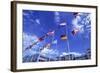 Flags of Europe in Front of the Europazentrum, Kirchberg, Luxembourg-Tim Hall-Framed Photographic Print