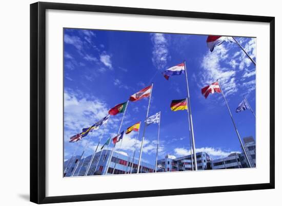 Flags of Europe in Front of the Europazentrum, Kirchberg, Luxembourg-Tim Hall-Framed Photographic Print