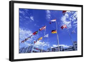 Flags of Europe in Front of the Europazentrum, Kirchberg, Luxembourg-Tim Hall-Framed Photographic Print