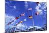 Flags of Europe in Front of the Europazentrum, Kirchberg, Luxembourg-Tim Hall-Mounted Photographic Print