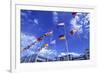 Flags of Europe in Front of the Europazentrum, Kirchberg, Luxembourg-Tim Hall-Framed Photographic Print