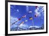 Flags of Europe in Front of the Europazentrum, Kirchberg, Luxembourg-Tim Hall-Framed Photographic Print